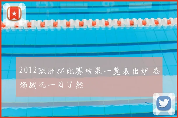 2012欧洲杯比赛结果一览表出炉 各场战况一目了然