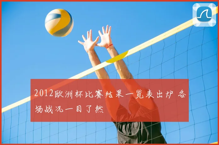 2012欧洲杯比赛结果一览表出炉 各场战况一目了然