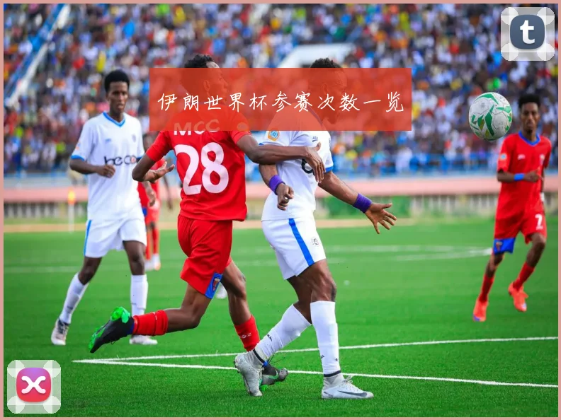 伊朗世界杯参赛次数一览
